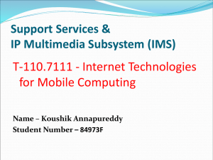 Support Services IP Multimedia Subsystem