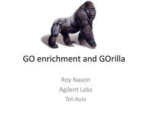 GO enrichment and GOrilla