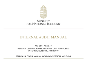 Hungary - Internal Audit Manual -_NE201106