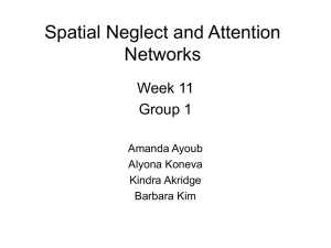 4. Show us a picture of the frontoparietal network