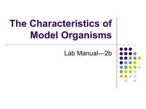 The Characteristics of Model Organisms