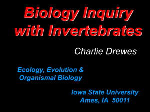 PPT - Department of Ecology, Evolution, and Organismal Biology