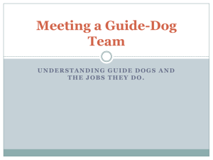 Meeting a Guide-Dog Team - Virginia Commonwealth University
