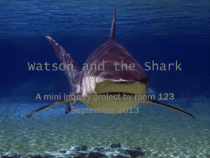 Watson and the Shark