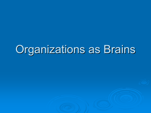 Chapter 4 Organizations as Brains