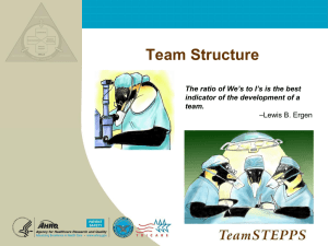 TS Module 2 Slides Team Structure