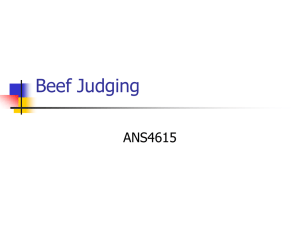 Beef Judging PowerPoint