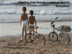 Human Impact on Marine Ecosystem - Brain
