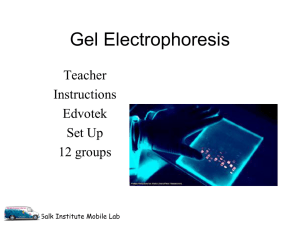 Gel electrophoresis teacher Edvotek set up