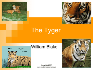 Poetry: `The Tyger` by William Blake