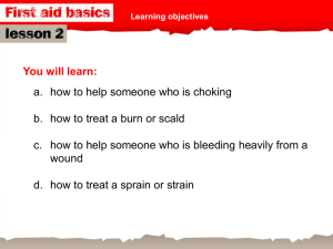First aid basics 2: PowerPoint