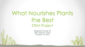What Nourishes Plants the Best STEM Project
