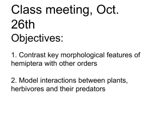 Class meeting, Oct. 26th Objectives: 1. Contrast key morphological