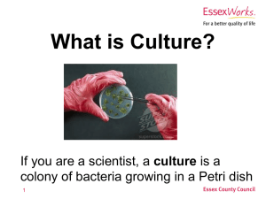 What is Culture (PowerPoint)
