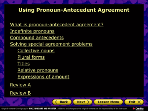 Pronoun-Antecedant Agreement Holt PowerPoint