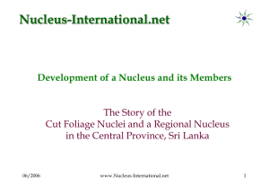 E21 - The Story of the Cut Foliage Nuclei and a Regional Nucleus in