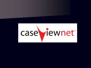 CaseViewNet Power Point Presentation