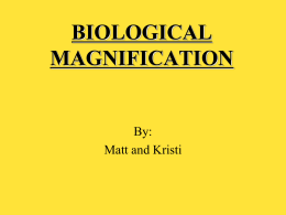 Biomagnification Lab