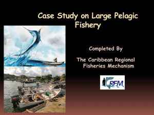 Fisheries management in CARICOM countries: the