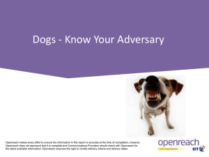 Dogs - Know Your Adversary - FSE2