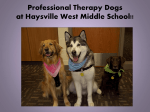 What is a Professional Therapy Dog?
