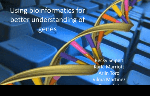 Using bioinformatics for better understanding of genes amplify
