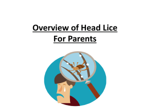 overview of headlice for parents