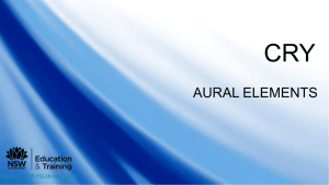 Tutorial 2: Aural elements