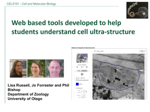 Helping students understand cell ultrastructure with