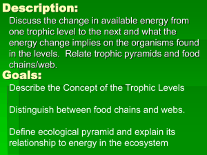 Energy Level and the Trophic Pyramid