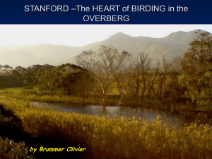 The HEART of BIRDING in the OVERBERG