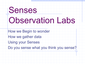 Senses Observation Lab - Ms. Lariviere`s Grade 7 Life Science