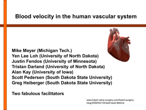 blood velocity in the human vascular system, midwest 2013