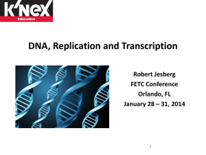 The DNA, Replication and Transcription Set