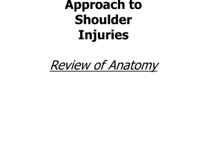 Neuromuscular Therapy Approach to Shoulder Injuries Review of