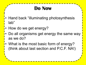 2.2 Photosynthesis and Cellular Respiration