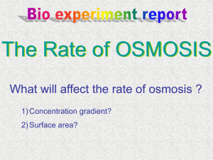 1.The rate of osmosis is affected by the concentration gradient?