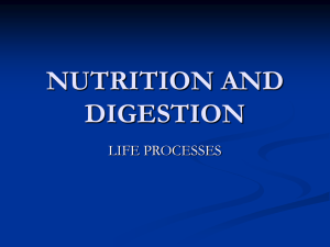 NUTRITION AND DIGESTION