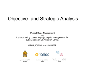 Objective- and Strategic Analysis