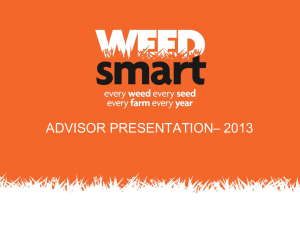 PowerPoint - Weed Smart