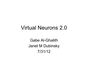How to Use Virtual Neurons 2