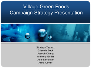 Village Green Foods Campaign Strategy Presentation
