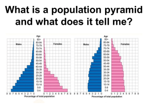 What is a population pyramid and what does it tell