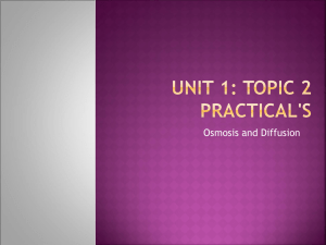 Unit 1: Topic 2 Practical`s