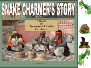 Cl.V snakecharmer`s story