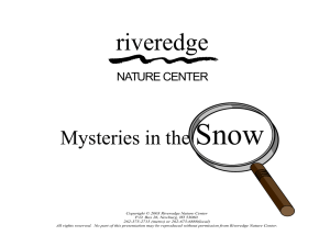 Mysteries in the Snow - Riveredge Nature Center