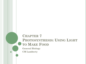 Chapter 7 Photosynthesis_student version