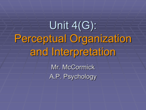 A.P. Psychology 4 (G) - Perceptual Organization and Interpretation