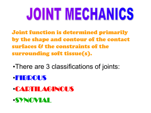 Joint Mechanics