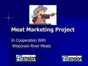 Meat Marketing Project 2010 (11 slides, 92 KB )